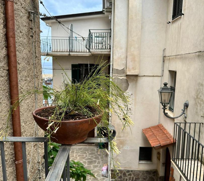 Photo of Others in San Marco di Castellabate