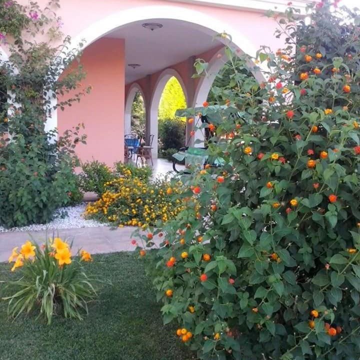 Photo of Others in Lendinuso