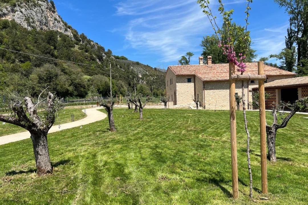 Photo of Others in Montefranco