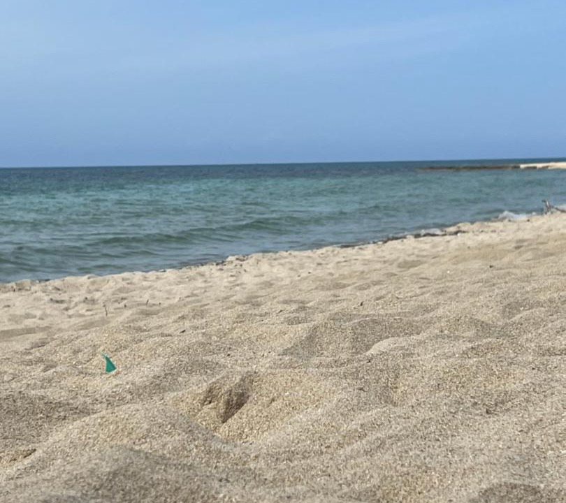 Photo of Others in Torricella
