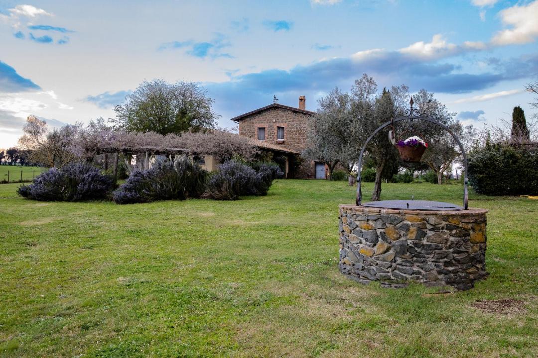 Photo of Others in Montefiascone