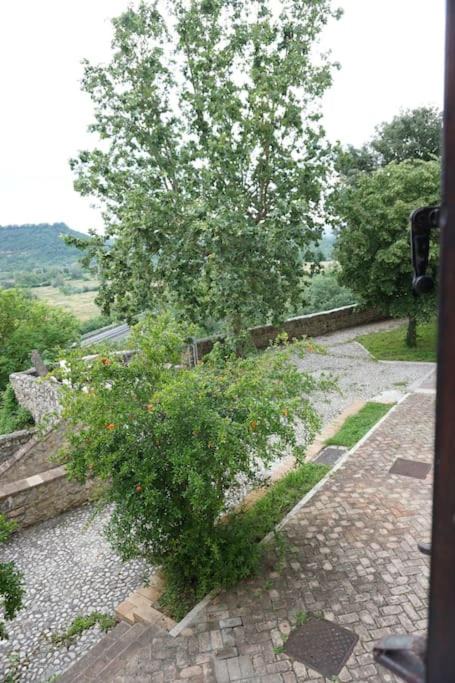 Photo of Others in Attigliano