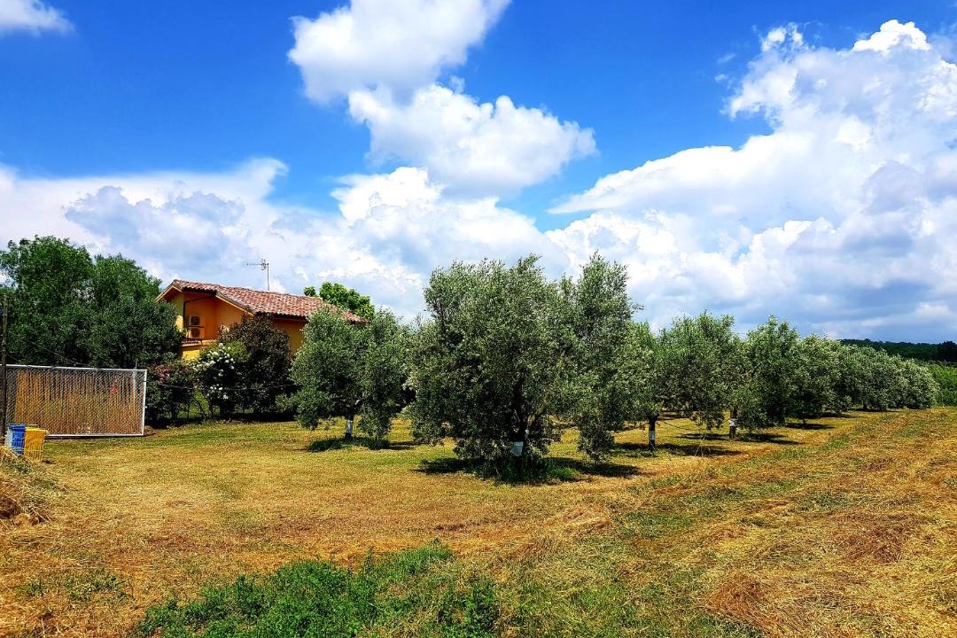 Photo of Others in Musignano
