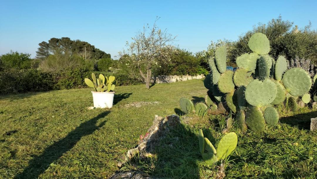 Photo of Others in Martina Franca