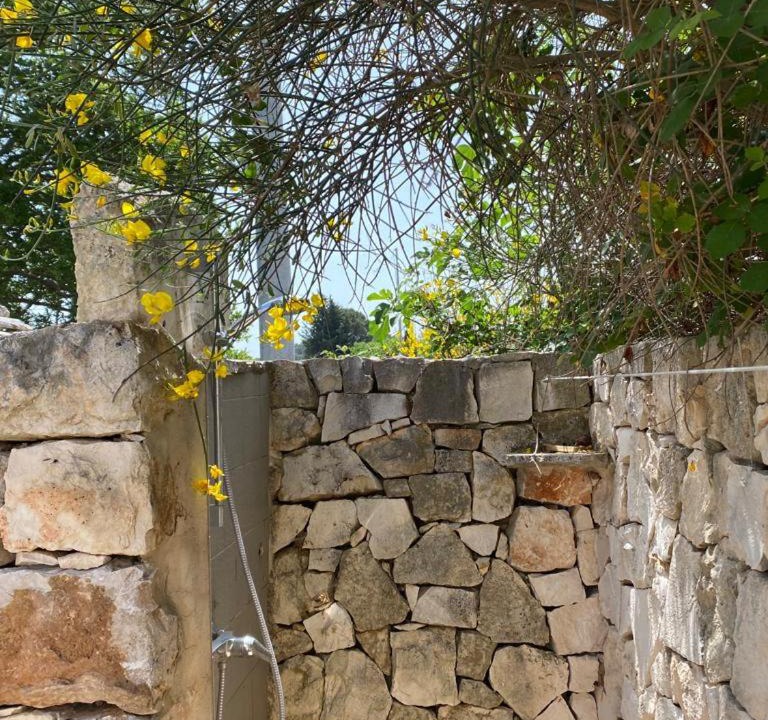 Photo of Others in Martina Franca