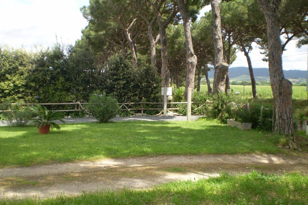 Photo of Others in Grosseto