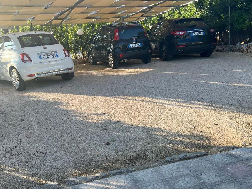 Photo of Others in Cisternino