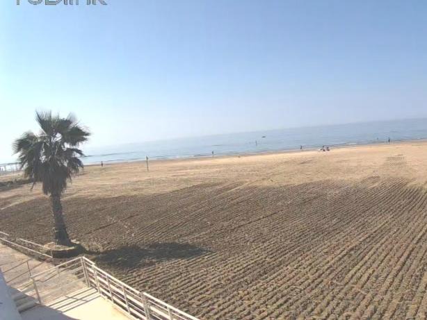 Photo of Others in Nettuno