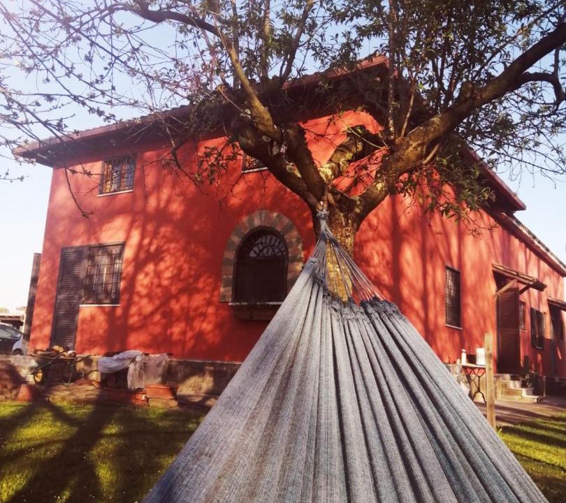 Photo of Others in Manziana