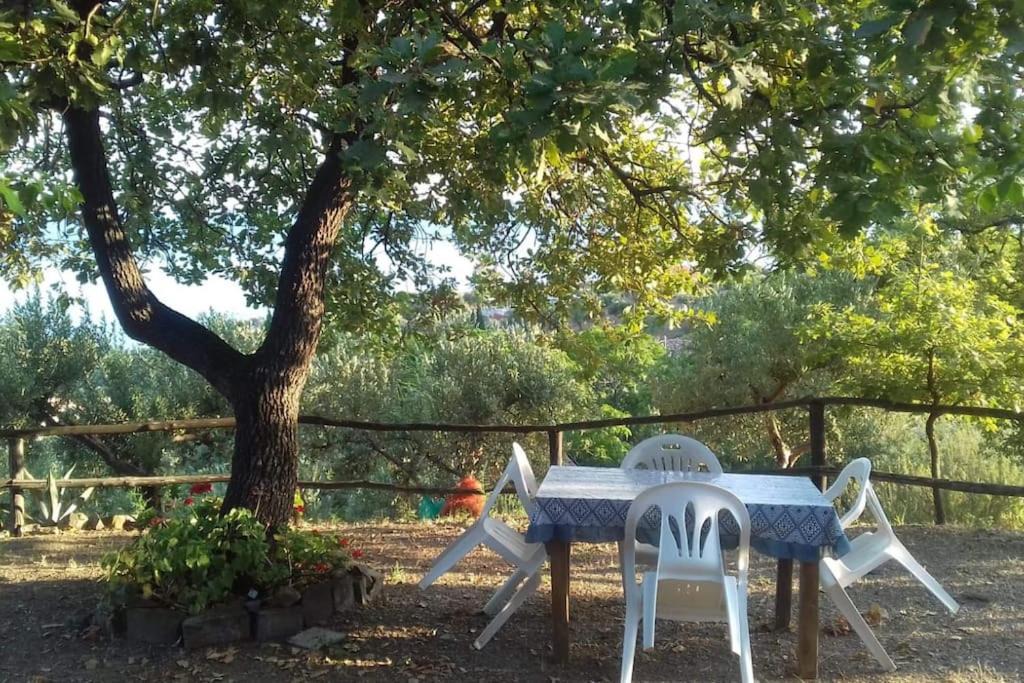 Photo of Others in Casal Velino