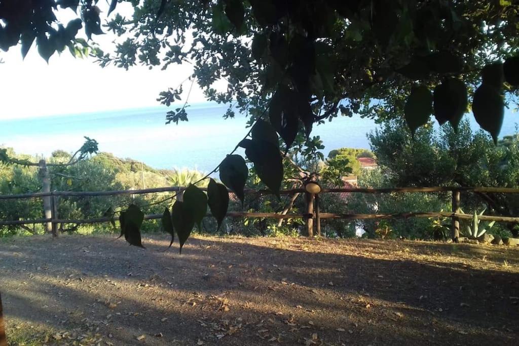 Photo of Others in Casal Velino