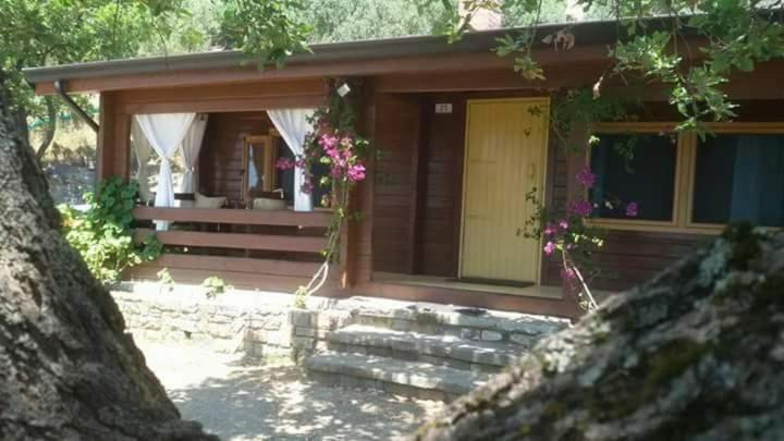 Photo of Others in Casal Velino