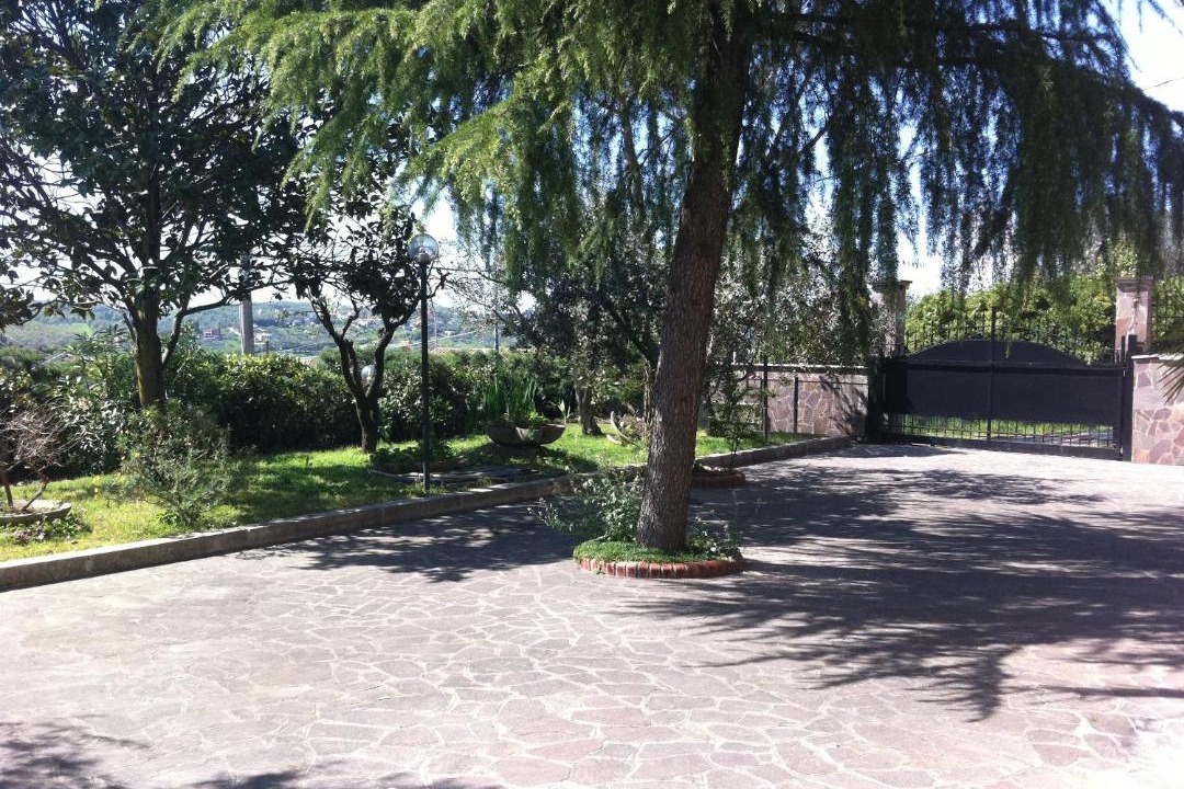 Photo of Others in Guidonia Montecelio