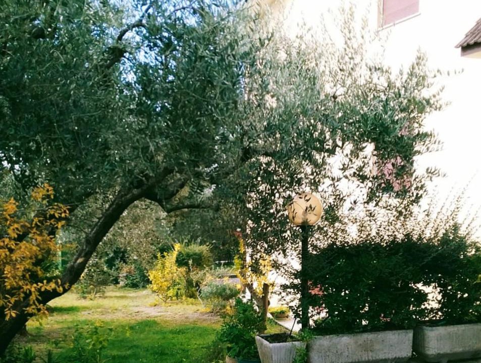 Photo of Others in Guidonia Montecelio