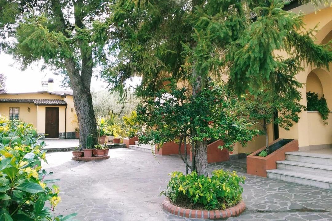 Photo of Others in Guidonia Montecelio