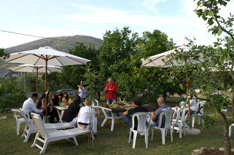 Photo of Others in Fondi