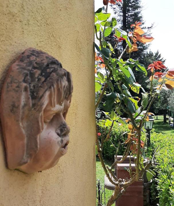 Photo of Others in Vallo Scalo