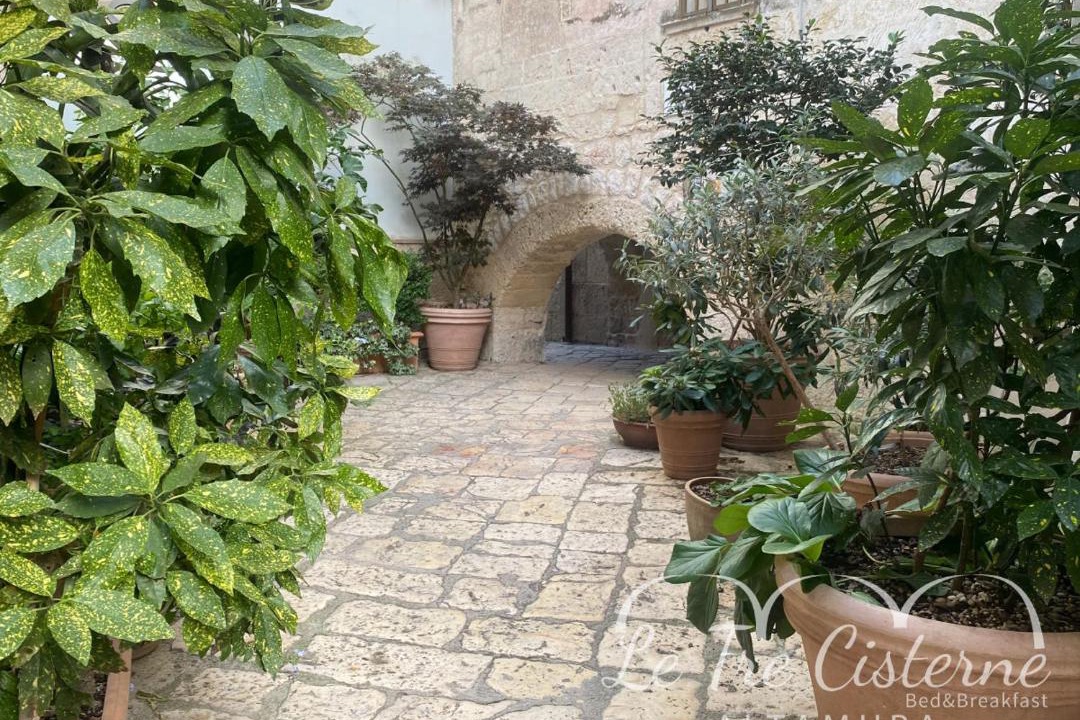 Photo of Others in Altamura