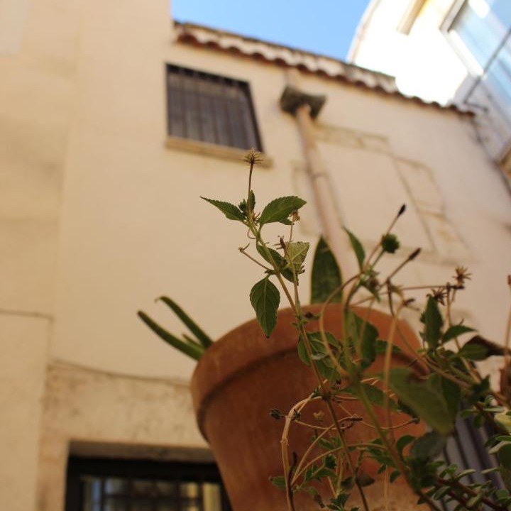 Photo of Others in Bitonto