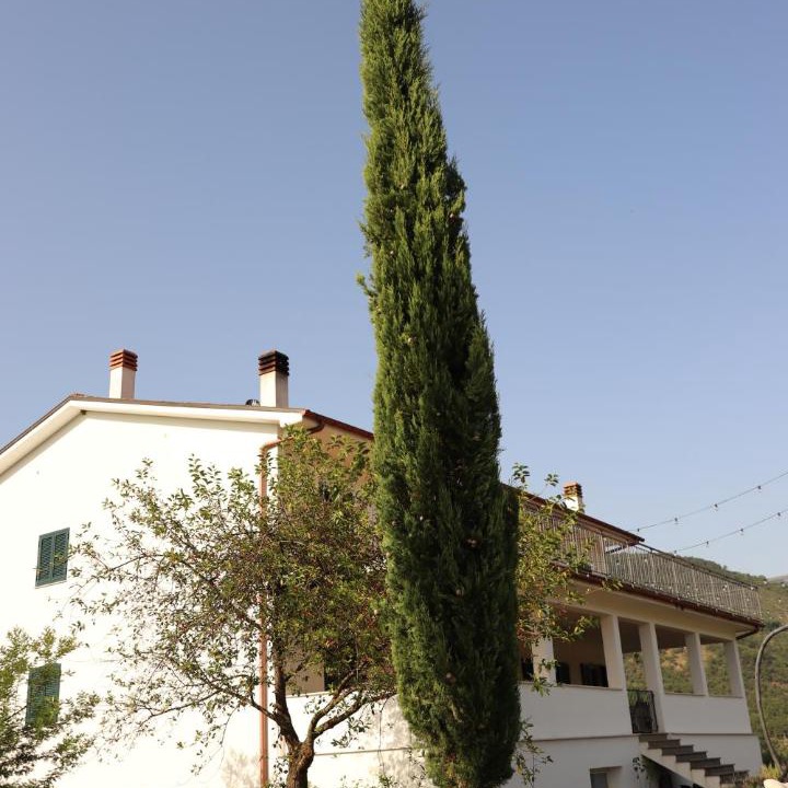 Photo of Others in Cittaducale