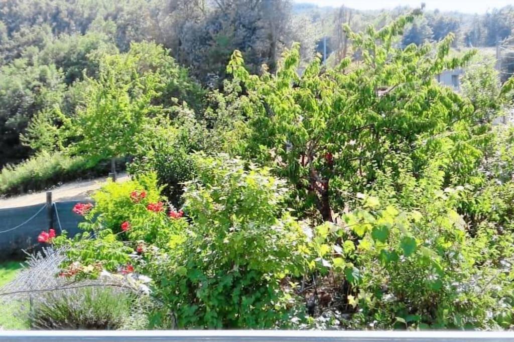 Photo of Others in Rionero Sannitico