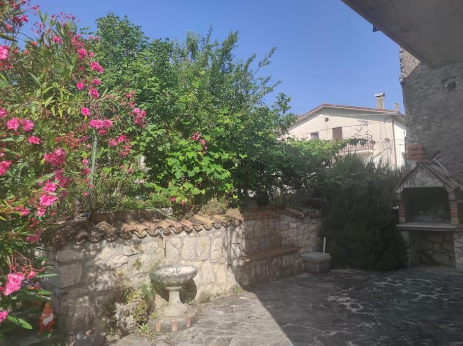 Photo of Others in Rionero Sannitico