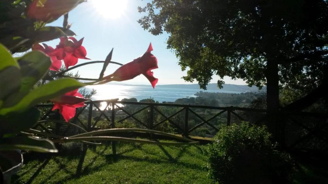 Photo of Others in Lake Bracciano