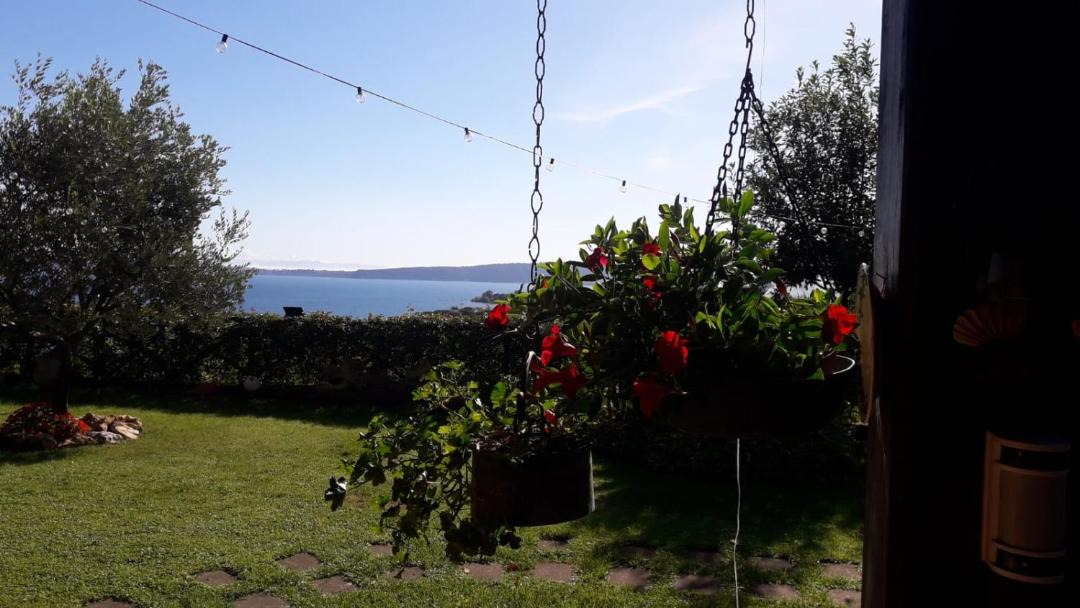 Photo of Others in Lake Bracciano