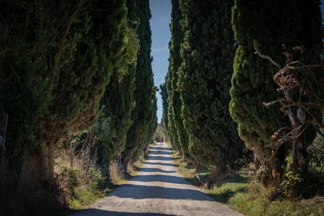 Photo of Others in Orvieto