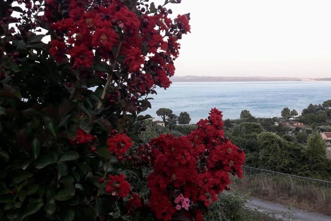 Photo of Others in Lake Bracciano