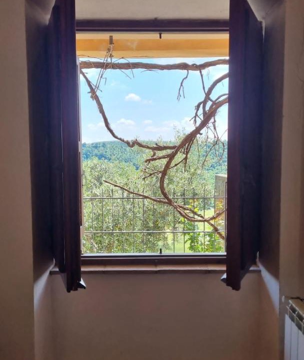 Photo of Others in Bagnoregio