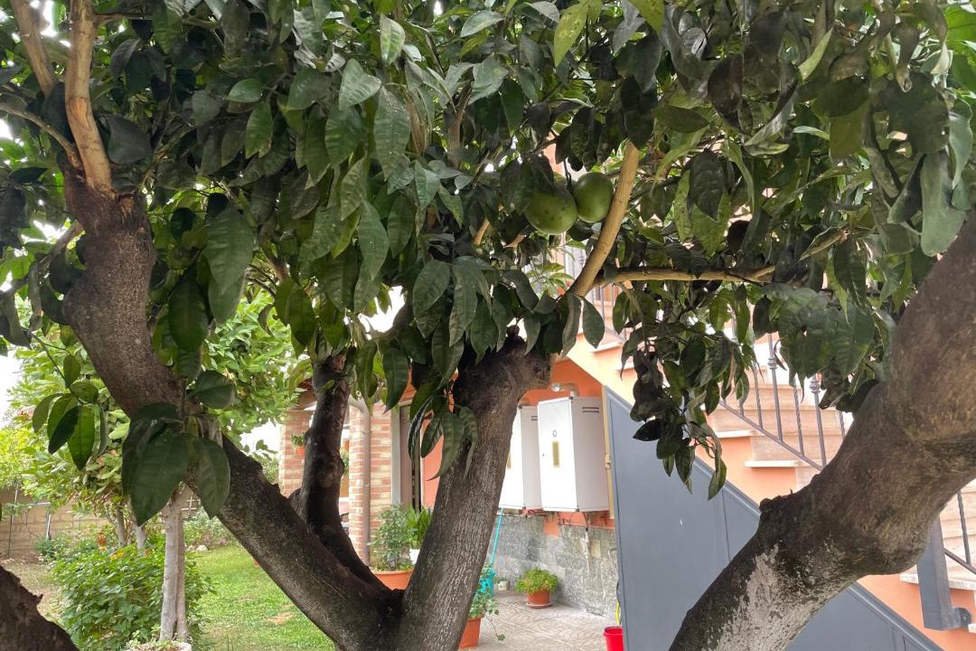 Photo of Others in Zona XXXII Acilia Nord