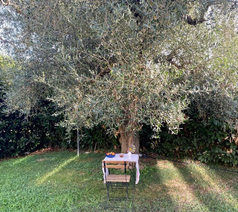 Photo of Others in Fiano Romano