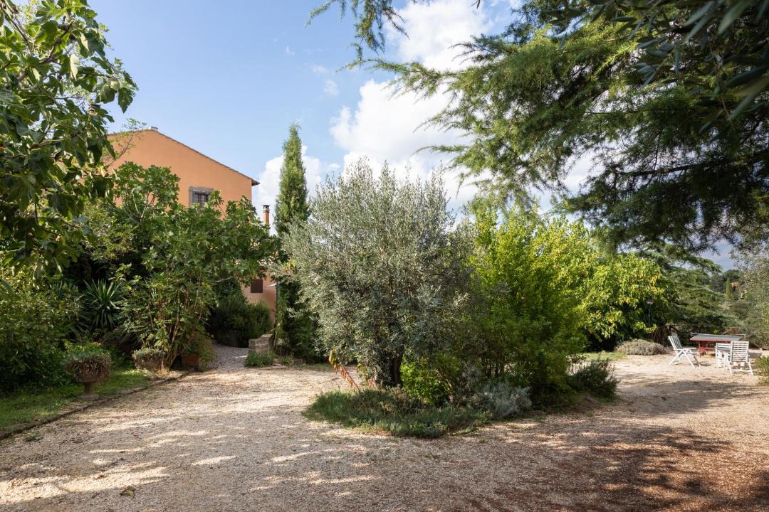 Photo of Others in Viterbo