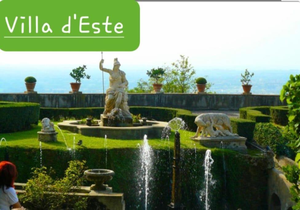 Photo of Others in Guidonia Montecelio