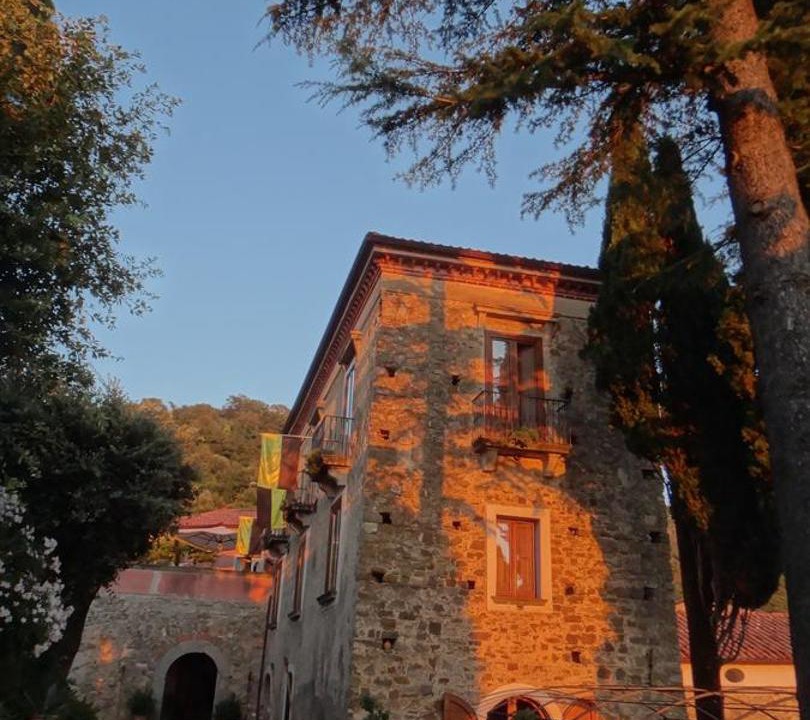 Photo of Others in Copersito