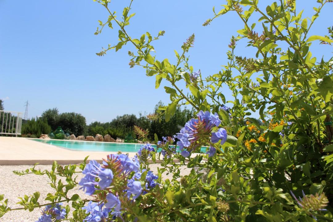 Photo of Others in Ostuni