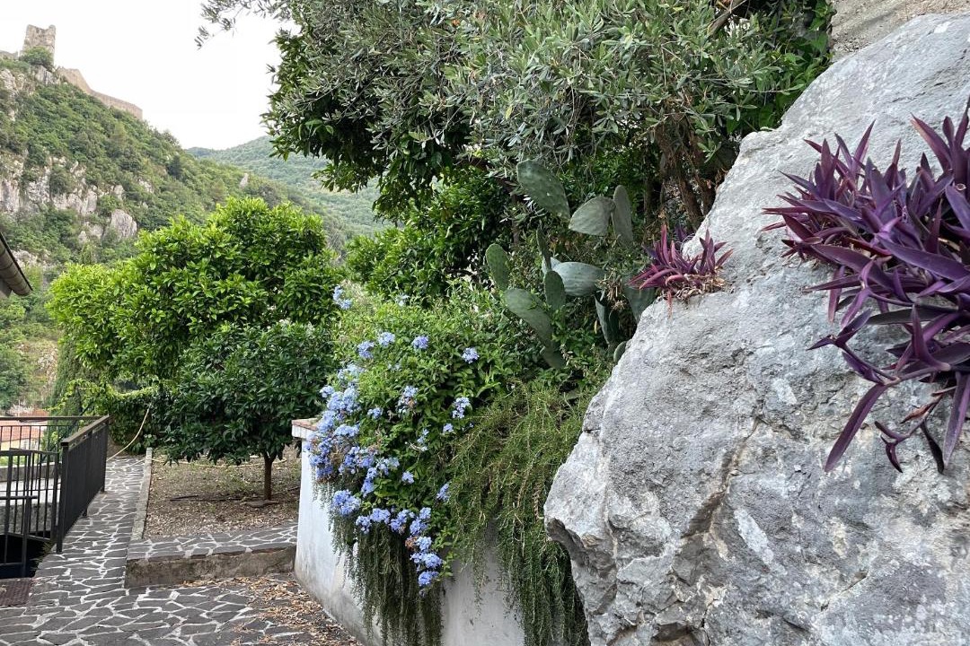 Photo of Others in Cassino
