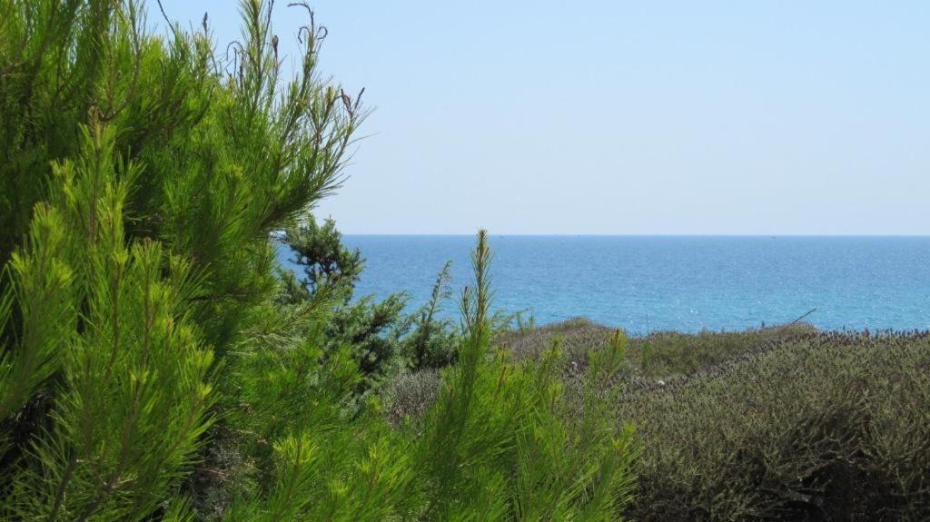 Photo of Others in Torre Ovo