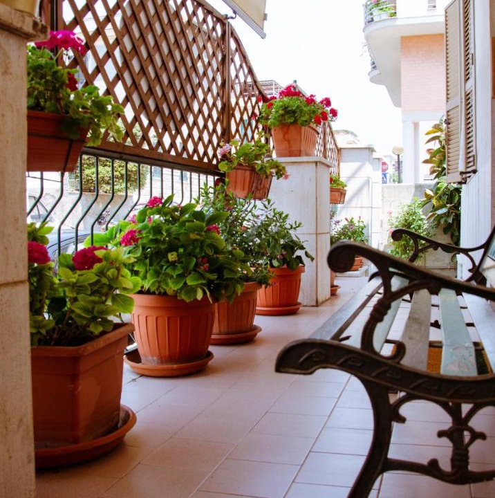 Photo of Others in Civitavecchia