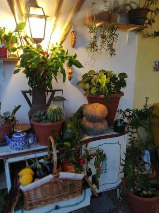 Photo of Others in Frascati