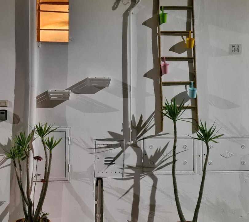 Photo of Others in Ostuni