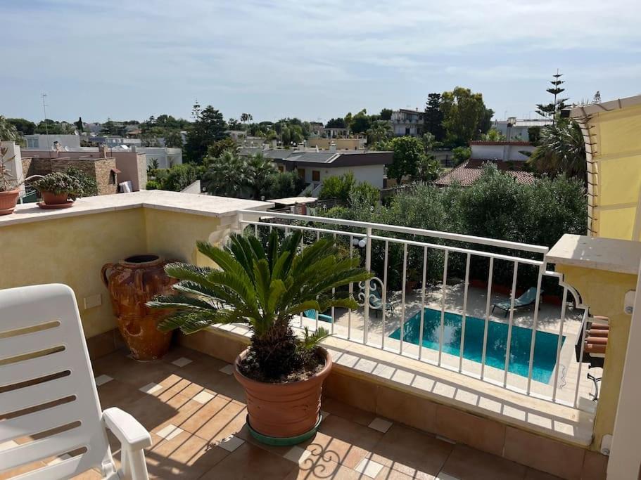 Photo of Others in Bisceglie