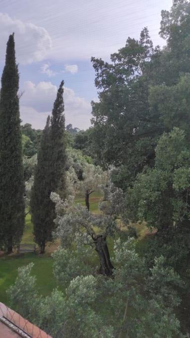 Photo of Others in Villa Adriana