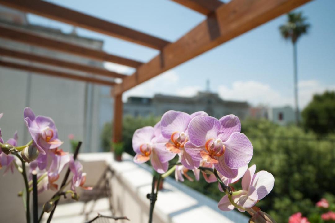Photo of Patio Balcony in Mola di Bari