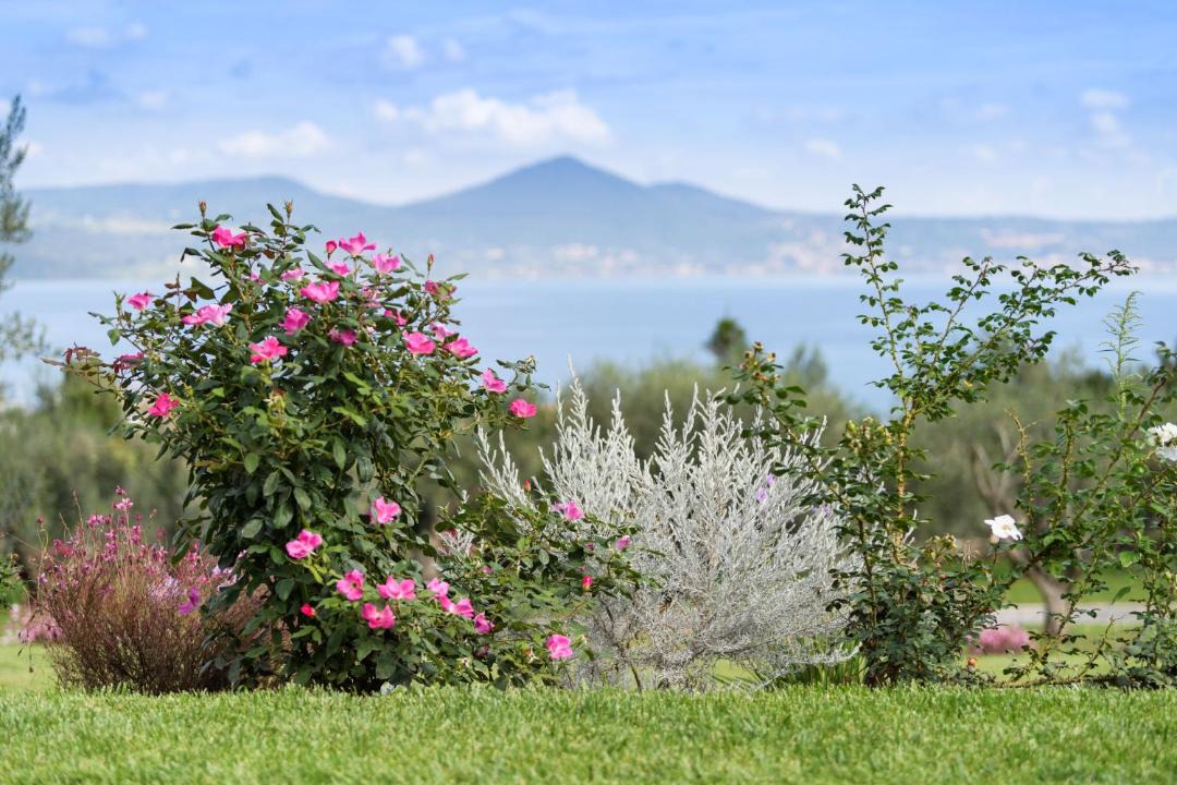 Photo of Others in Lake Bracciano