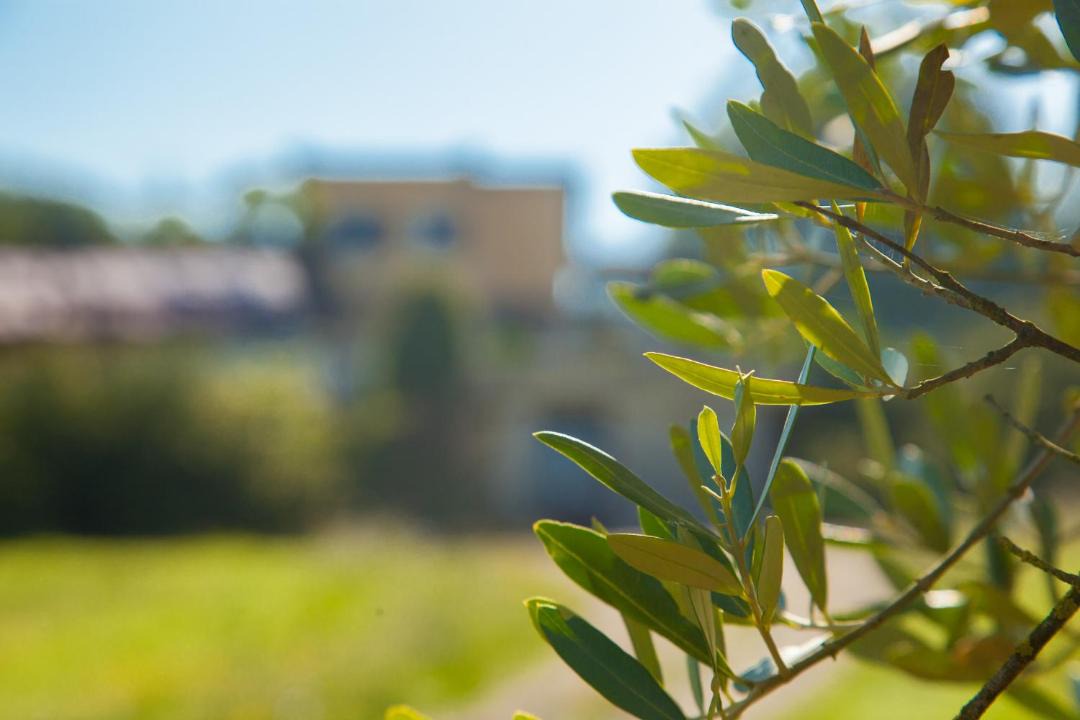 Photo of Outdoor in Orte
