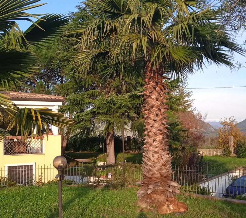 Photo of Others in Vairano Scalo