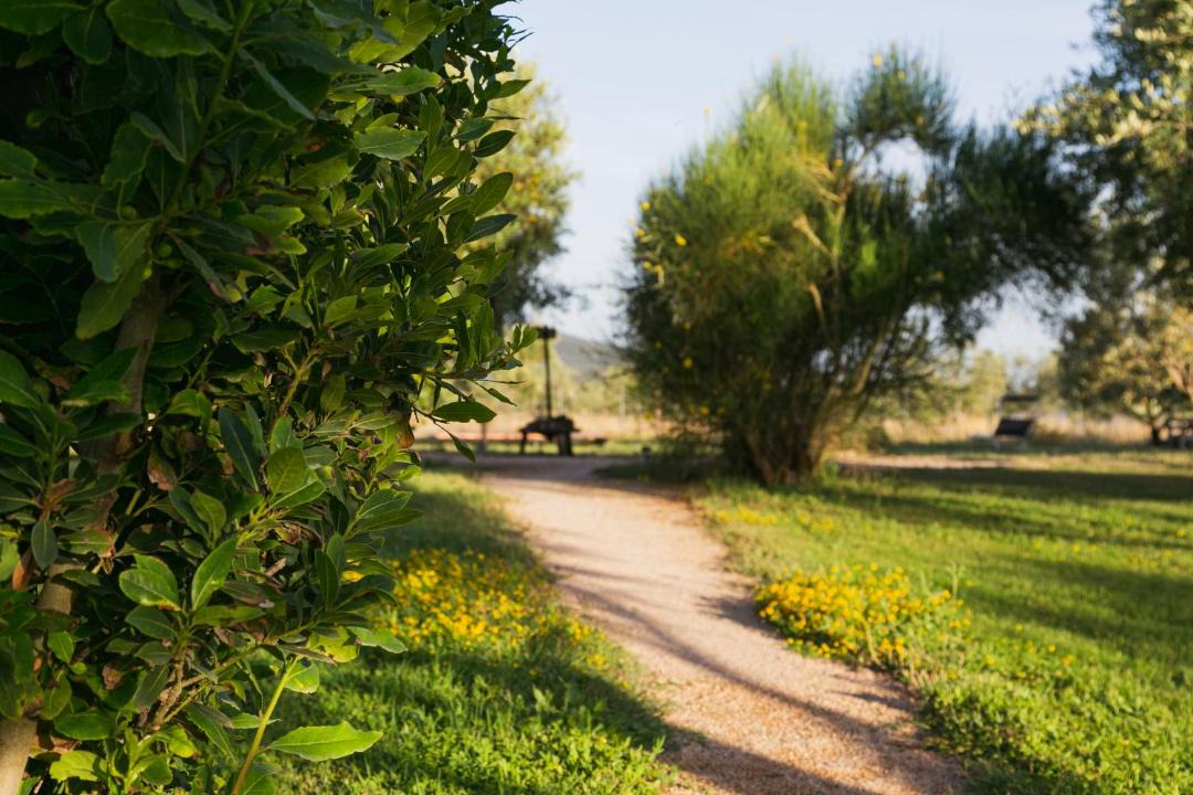 Photo of Others in Orbetello