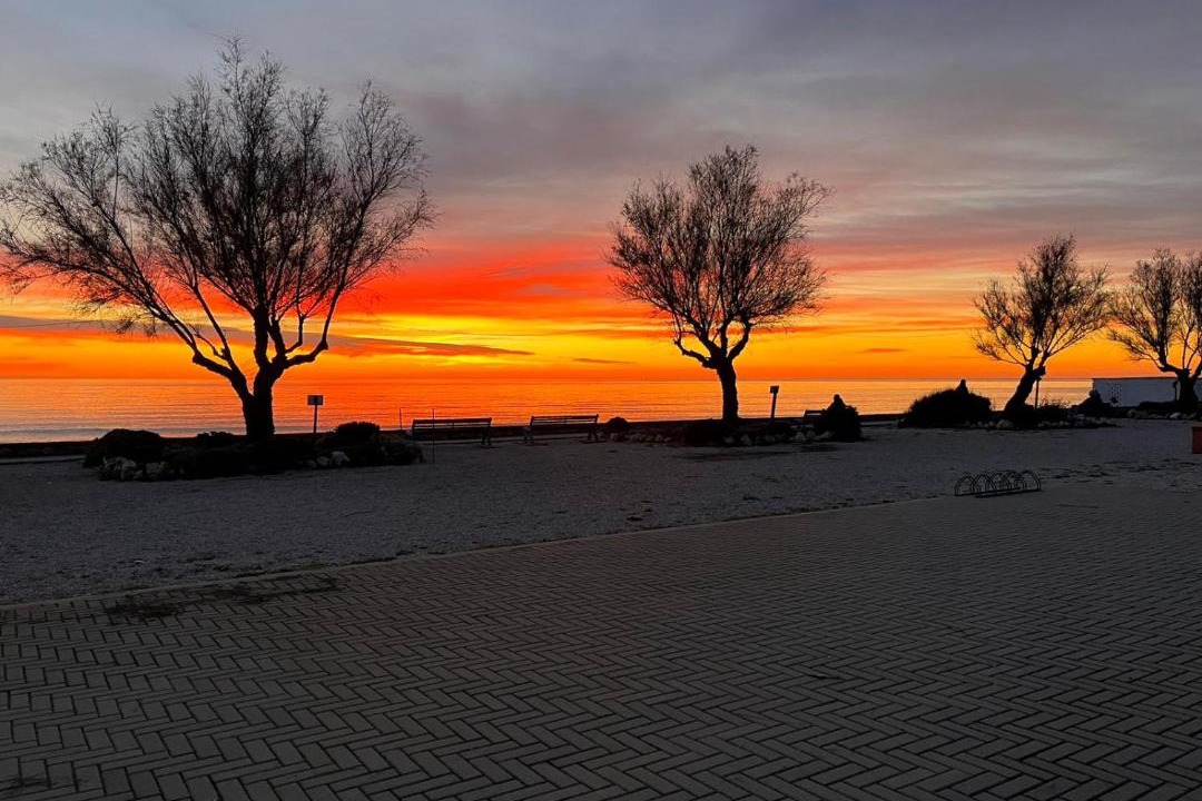 Photo of Others in Ladispoli